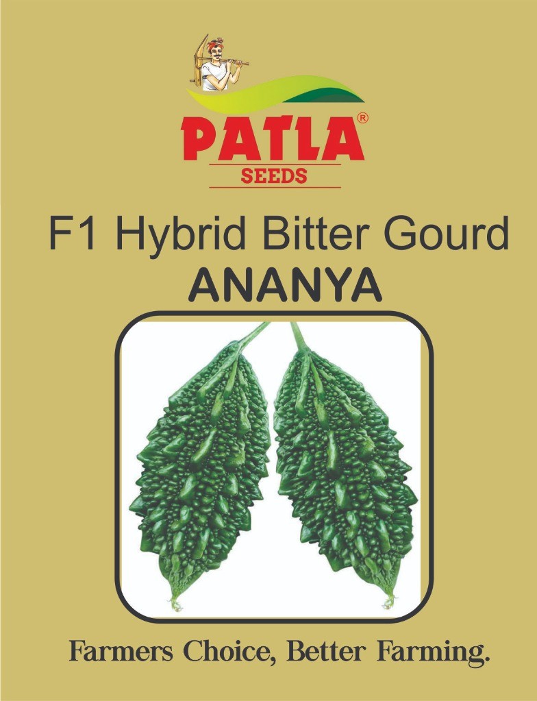 Bitter Gourd