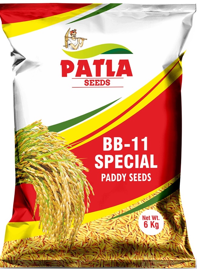 Aromatic Paddy Seeds - Full professional no-crop zoom-out view