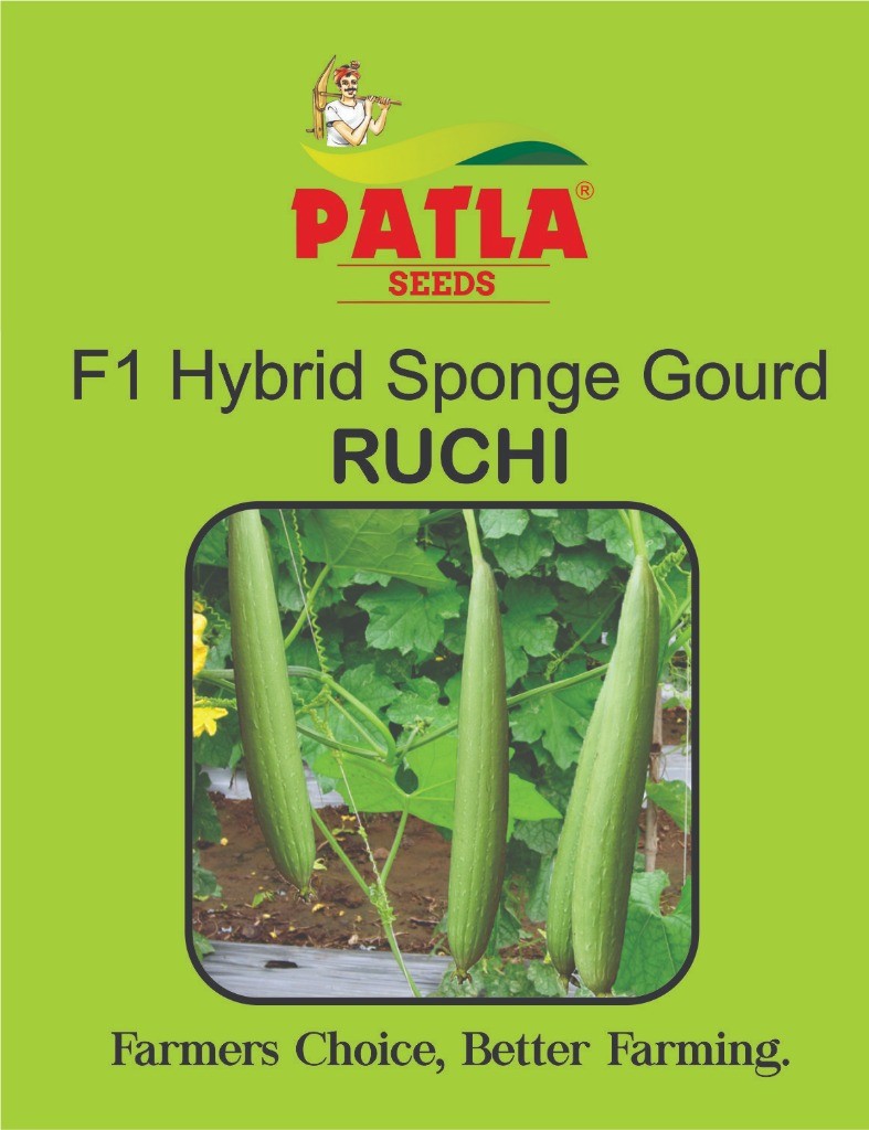 Sponge Gourd